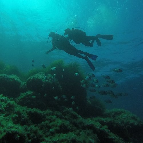 Big Deals and special offers - Diving in Elba