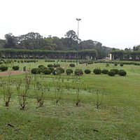 El Rosedal en el interior de la Pérgola elíptica