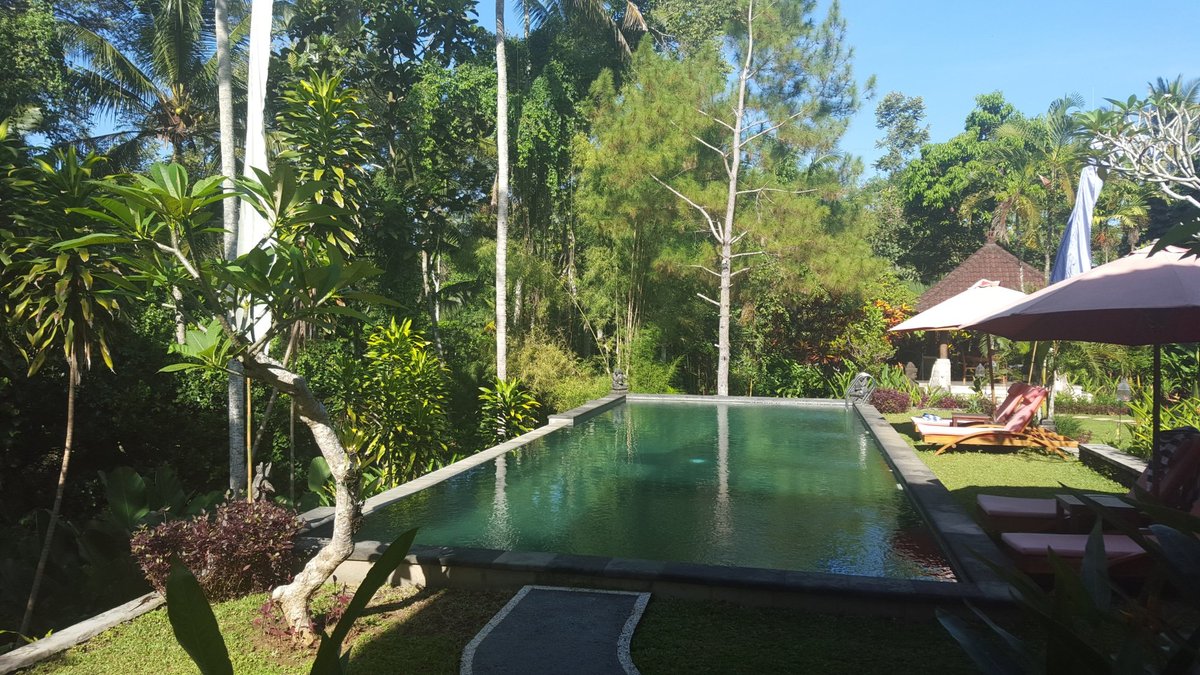 Suara Air Luxury Villa Ubud Pool Pictures & Reviews - Tripadvisor