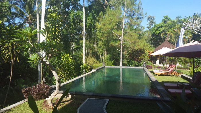 Suara Air Luxury Villa Ubud Pool: Pictures & Reviews - Tripadvisor