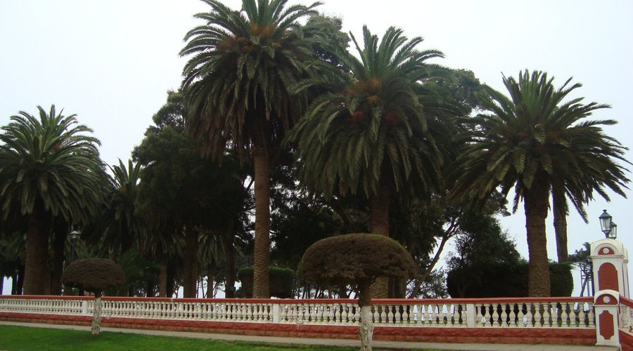 Desde el exterior del parque