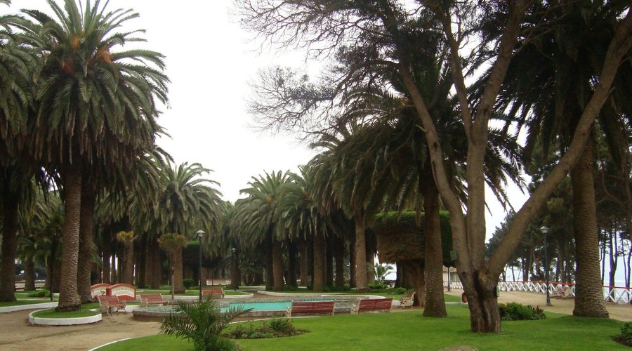 Caminando por sus senderos