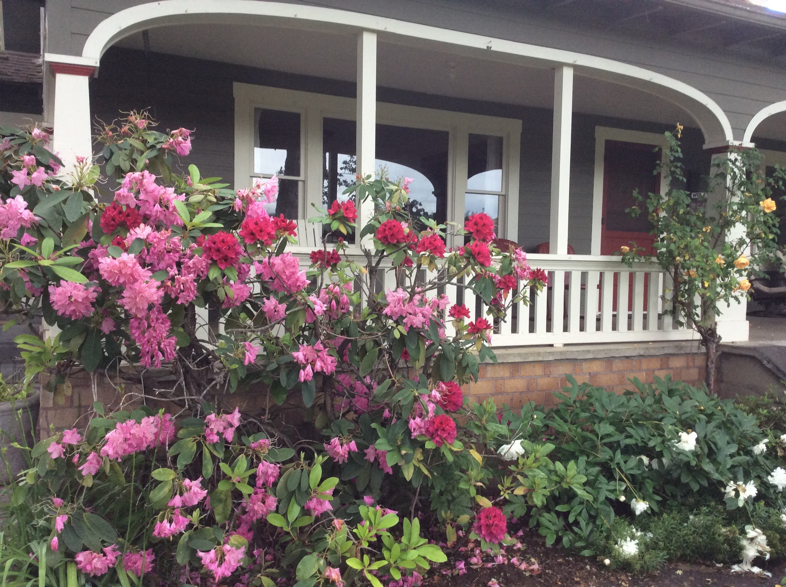 SEVEN OAKS BED AND BREAKFAST - Reviews, Photos