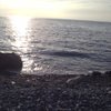 Dario R