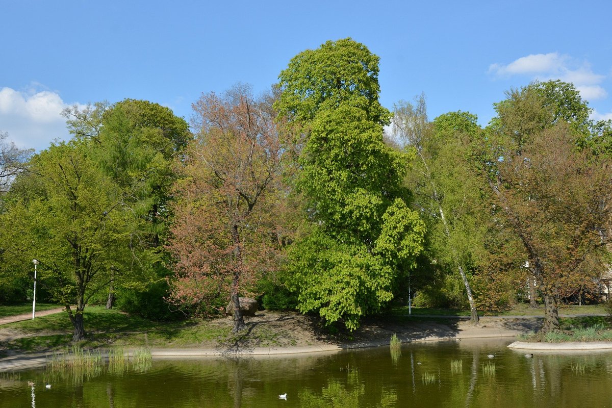 WOODROW WILSON PARK (Poznan): Ce qu'il faut savoir pour votre visite ...