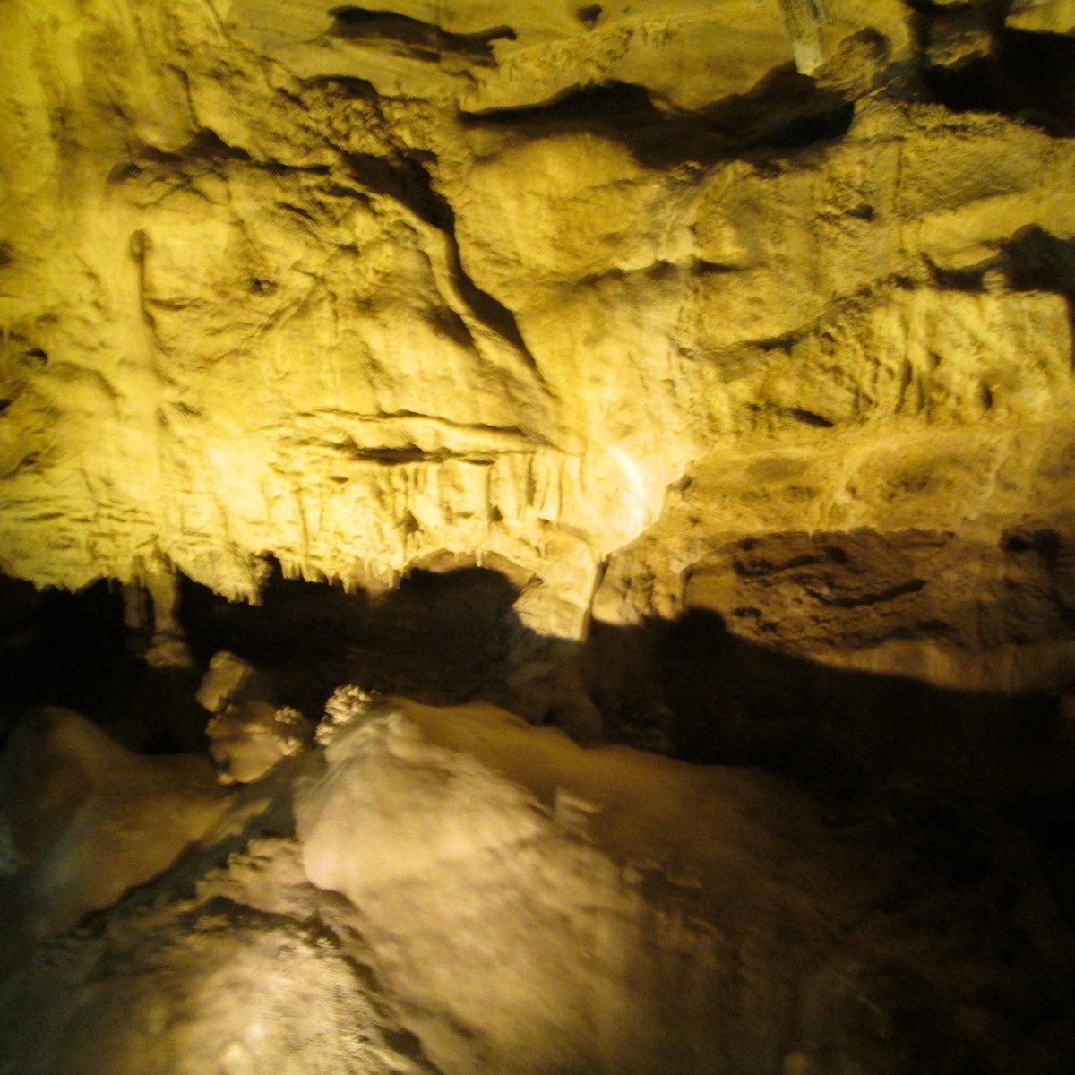 Wild caves