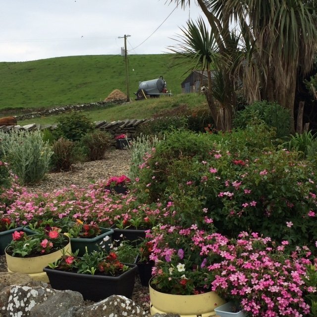 ATLANTIC VIEW BED AND BREAKFAST - B&B Reviews (Liscannor, Ireland)