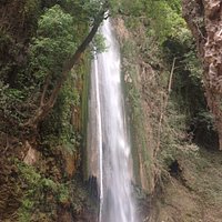 The Fall