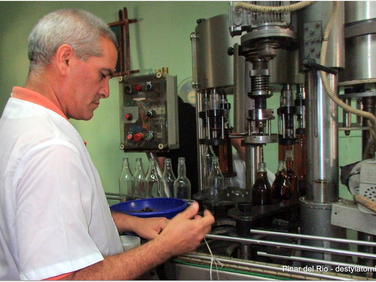 Liqueur de rhum au cafédélicieux - Photo de Cuba, Les Caraïbes -  Tripadvisor