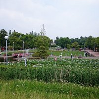 しょうぶのシーズンはにぎわう