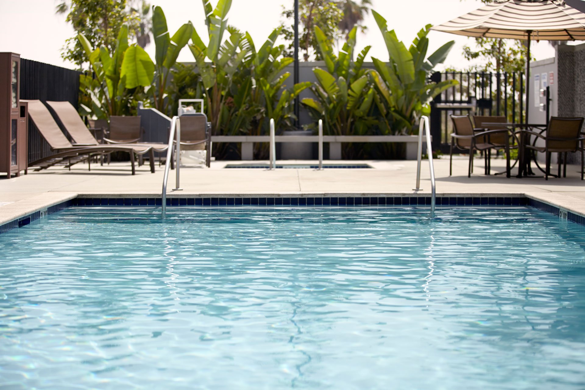 Hotel photo 43 of Hyatt Place Tampa/Busch Gardens.