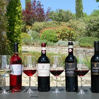 Le Miccine wine selection