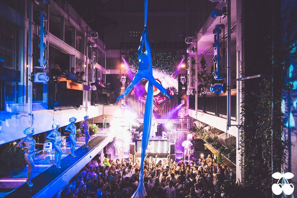 Pacha Sydney, ivy