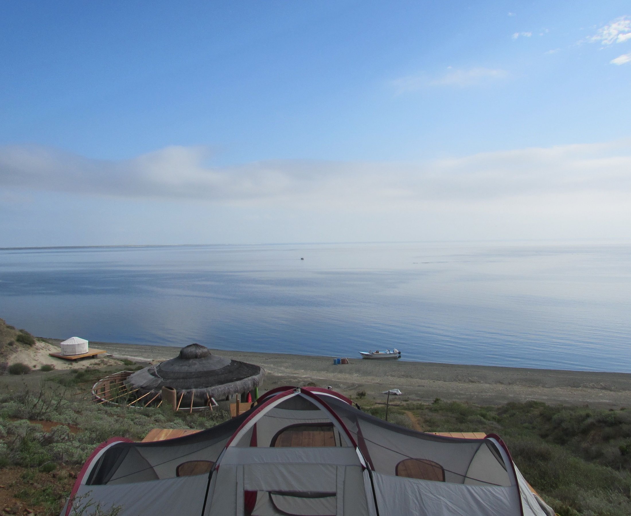 Magdalena Bay Whales (2025) - All You Need to Know BEFORE You Go (with Reviews)