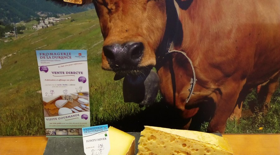 Des fromages aux laits crus