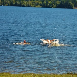 Shawnigan Lake, British Columbia. Slow Down, Enjoy Life. Cowboy