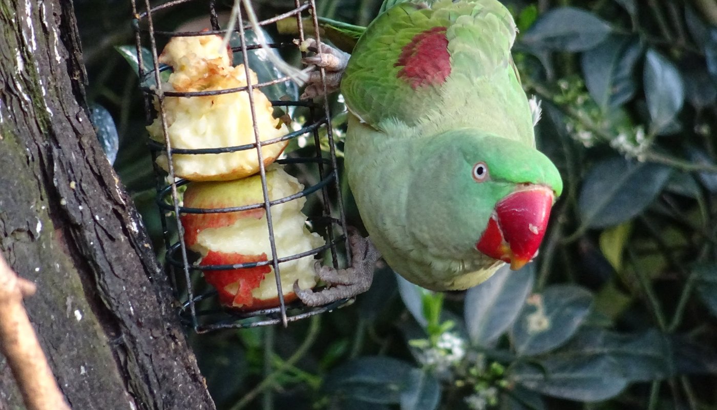 Kinderboerderij Dierendorp - 하임스커크 - Kinderboerderij Dierendorp의 리뷰 - 트립어드바이저