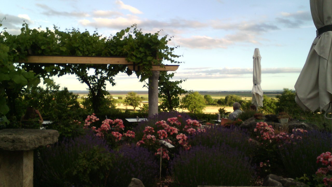 Weingut Kloster Am Spitz - Thomas Schwarz (Purbach Am Neusiedlersee ...