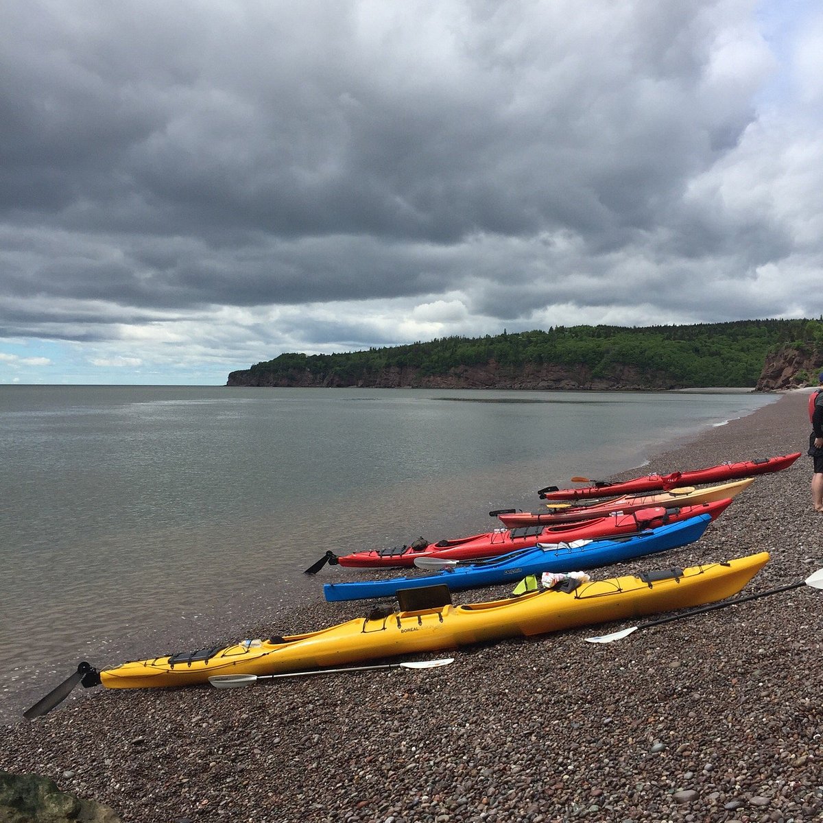 Tours  Bay of Fundy Adventures