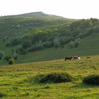 Crook Peak