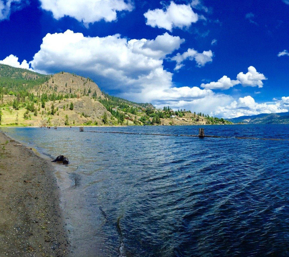 Bear Creek Provincial Park (West Kelowna) - 2022 Alles wat u moet weten ...