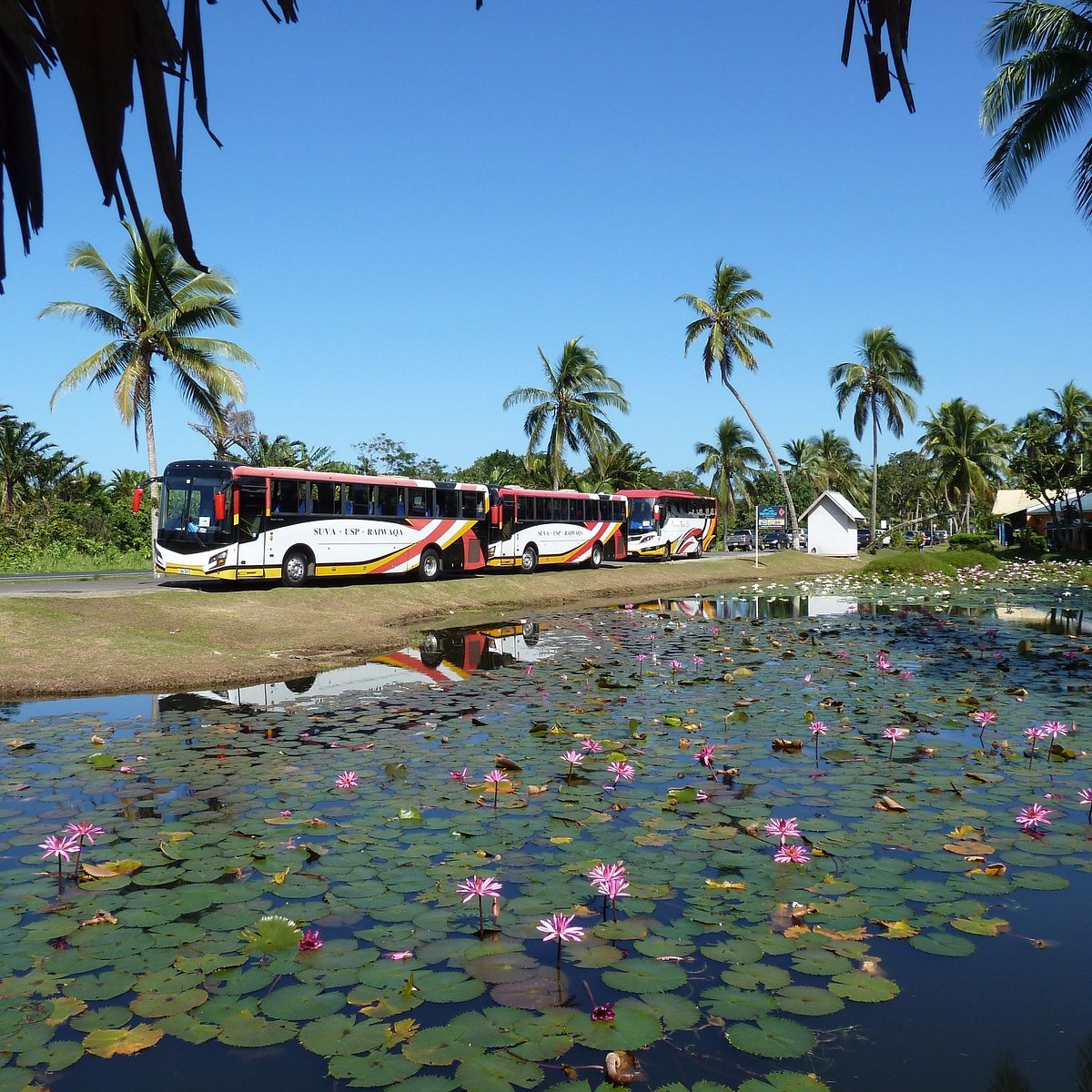 Fiji: Day Trip to Cloud 9 Floating Platform Including Food and Beverages
