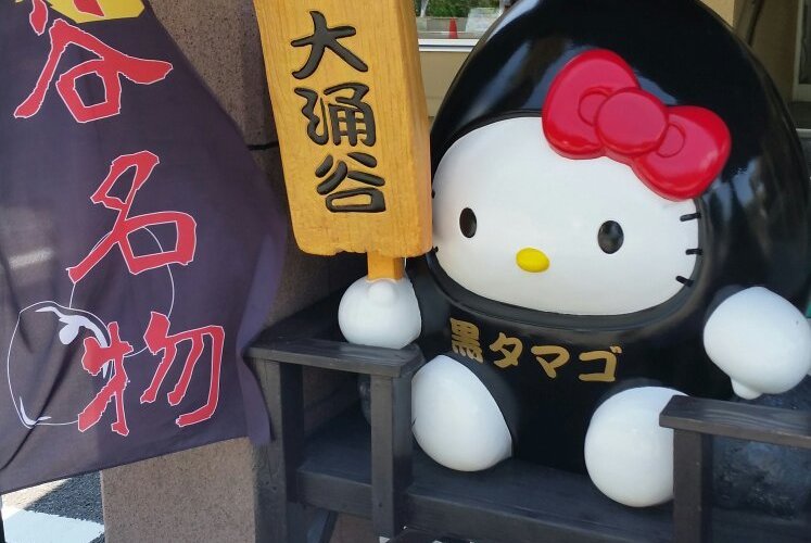大涌谷の温泉黒たまごを購入できるアンテナショップ。大涌谷へは昨年の噴火の影響で、まだ行けないので、買えるところがあって良かったです！
ほんのり感じる温泉味がたまらなく美味しいです。一個食べると