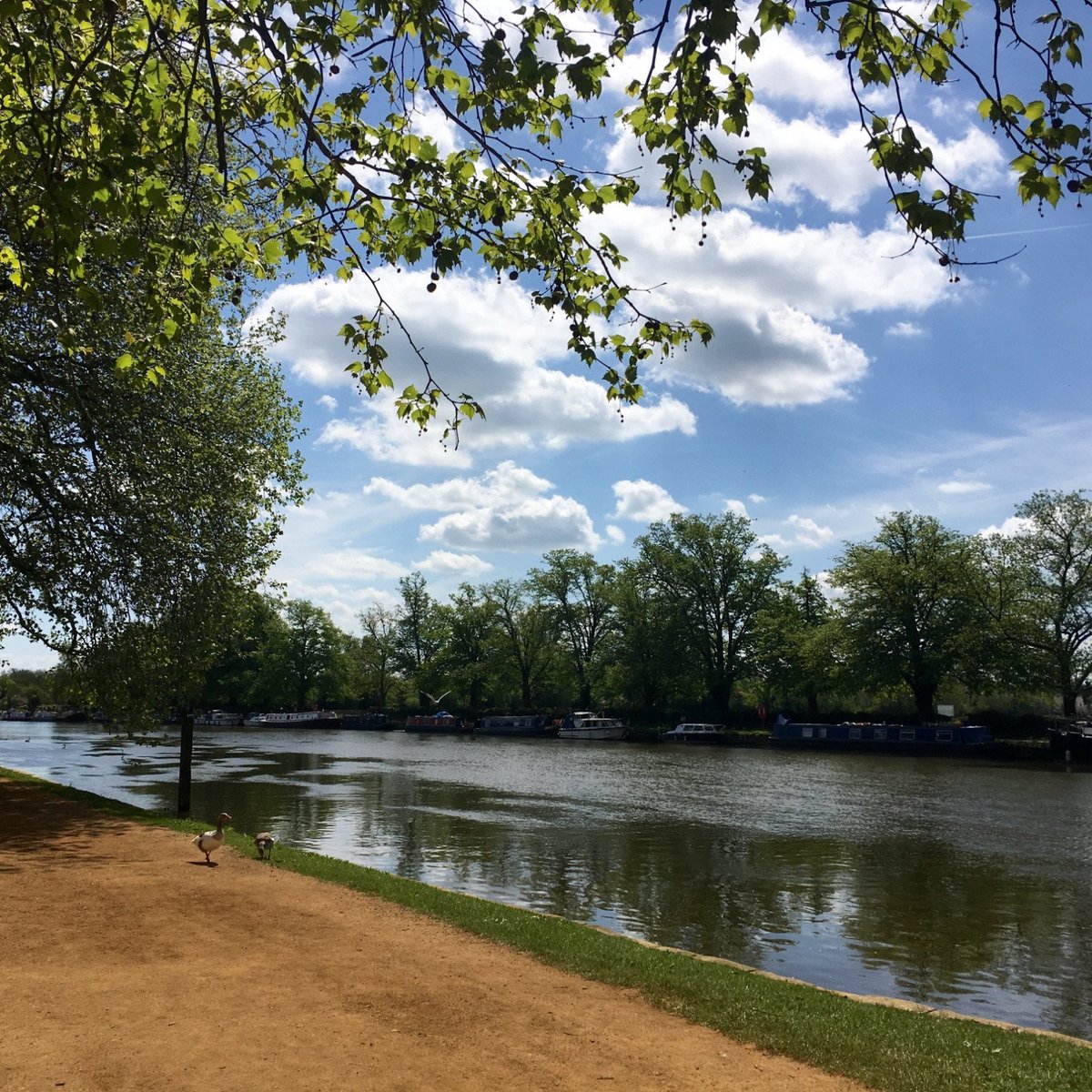 river-cherwell-oxford-atualizado-2022-o-que-saber-antes-de-ir