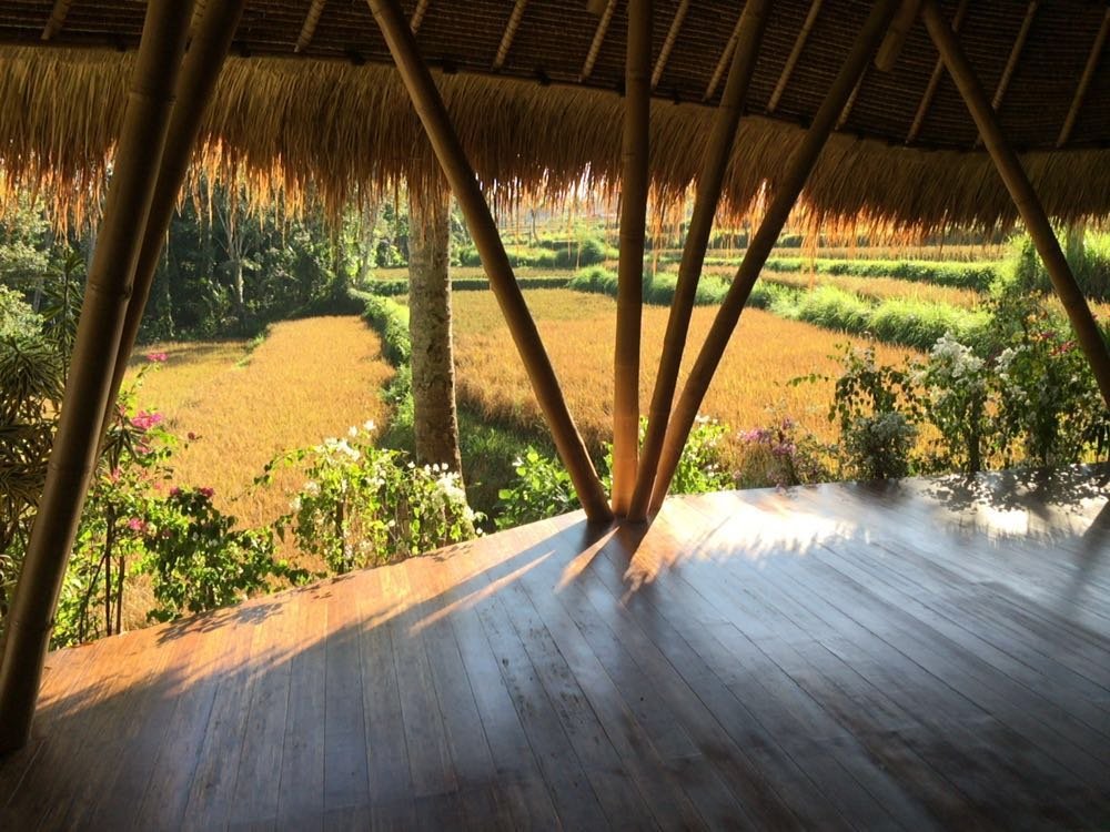 Sandat Glamping Tents by null