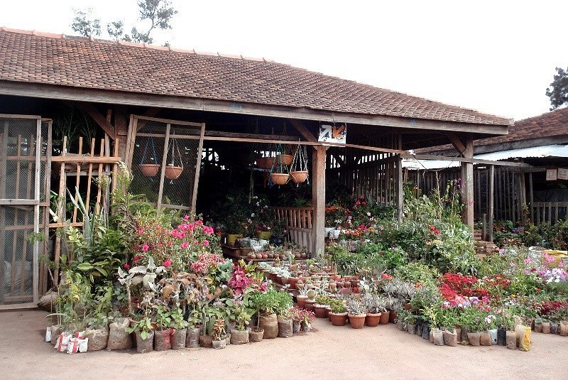 Antananarivo Flower Market image