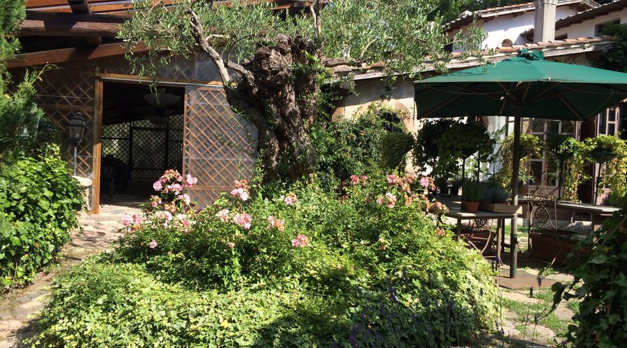 Giardino