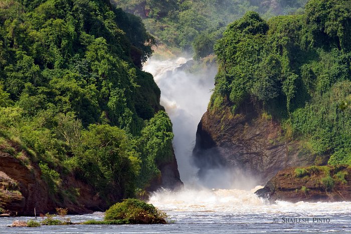 Murchison falls view from the boat ride on the Nile