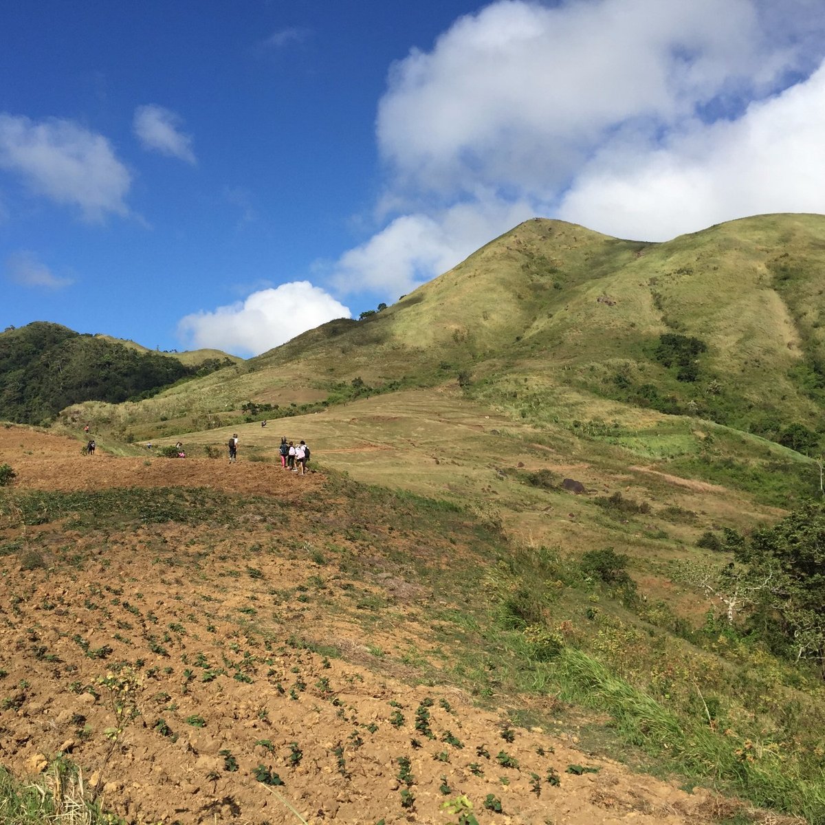 Mt. Talamitam (Nasugbu) - All You Need to Know BEFORE You Go