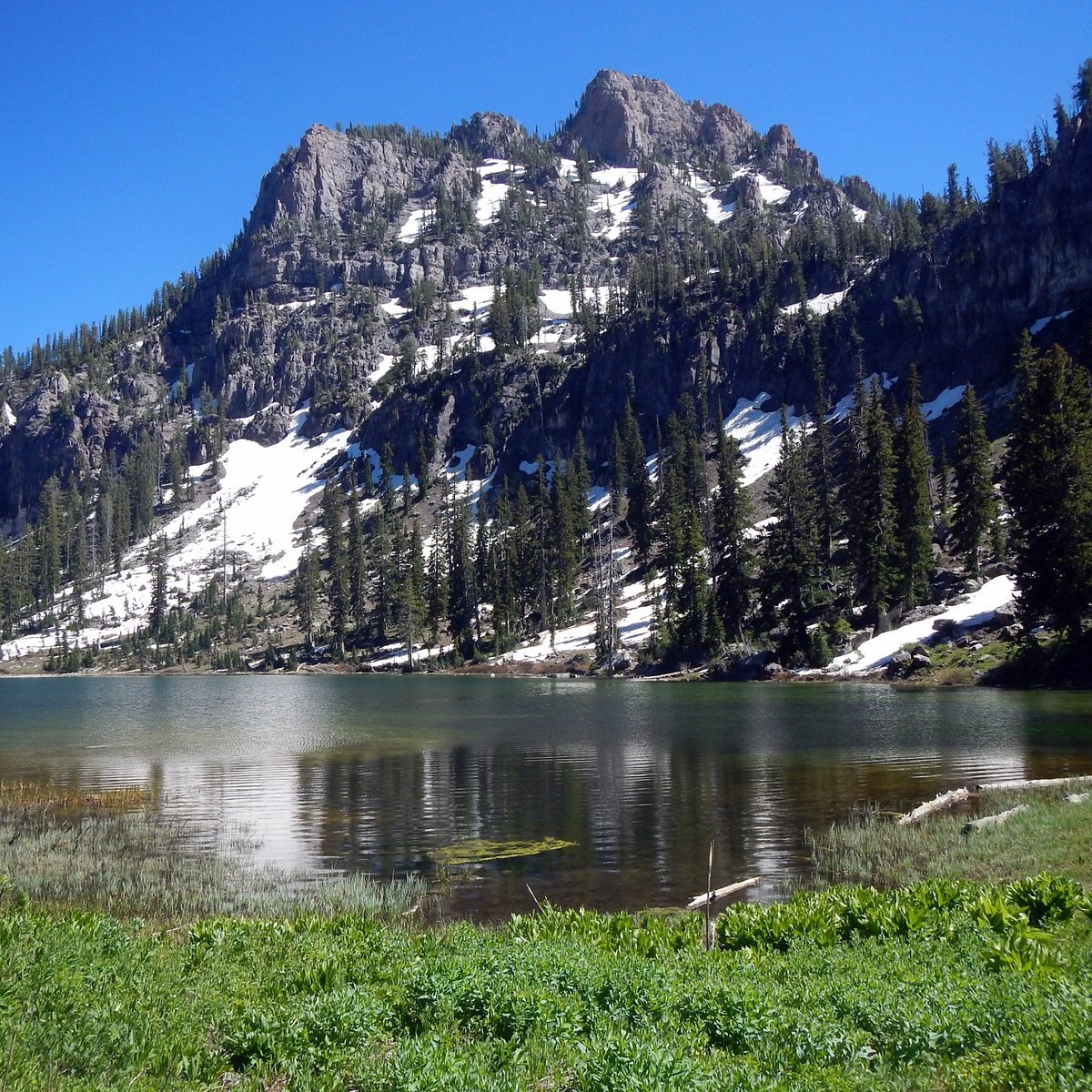 Good lake. White Lake. White Pine. Utah Lake.