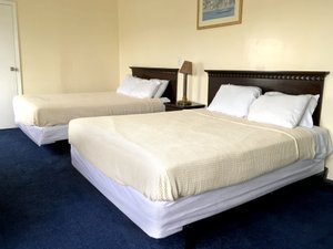 Room & Suite
