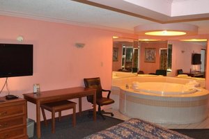 Room & Suite