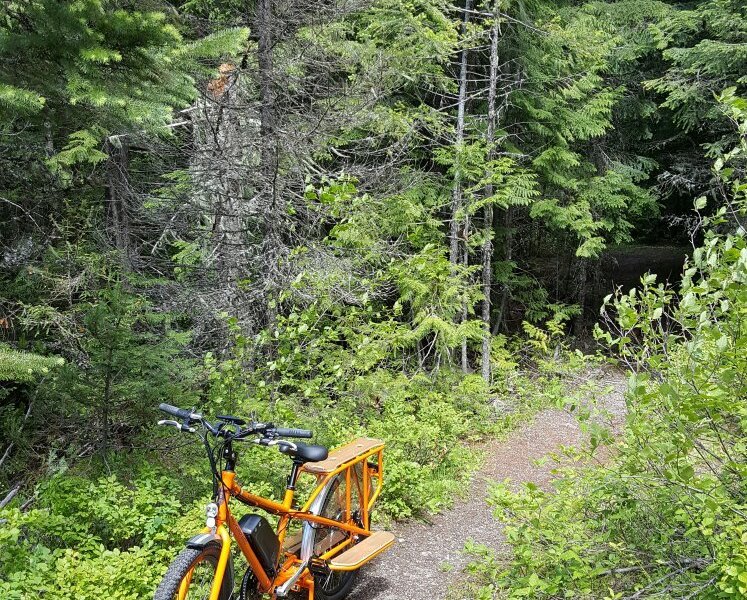 Spokane Electric Bike Rentals image