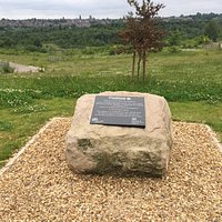 Gedling Country Park