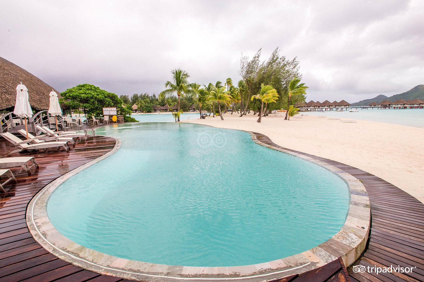 The Westin Bora Bora Resort & Spa Pool Pictures & Reviews - Tripadvisor