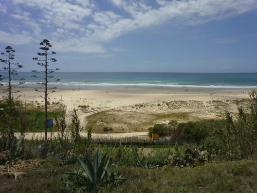 Conil de la Frontera in Conil de la Frontera: 98 reviews and 282 photos