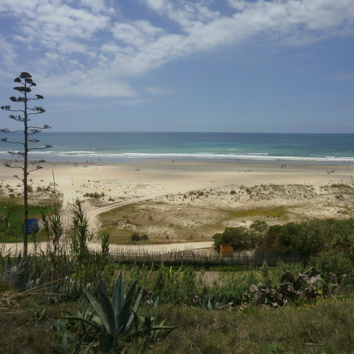 Paragliding Andalusia - Conil de la Frontera 