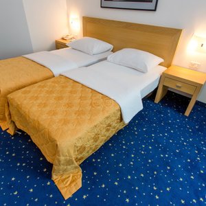 The Superior Room (Twin Bed) at the Hotel Blue Star