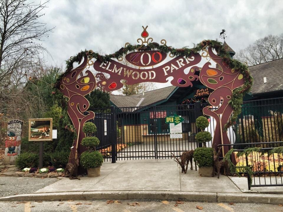 elmwood park zoo events