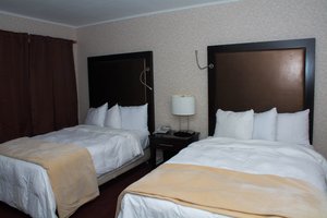Room & Suite