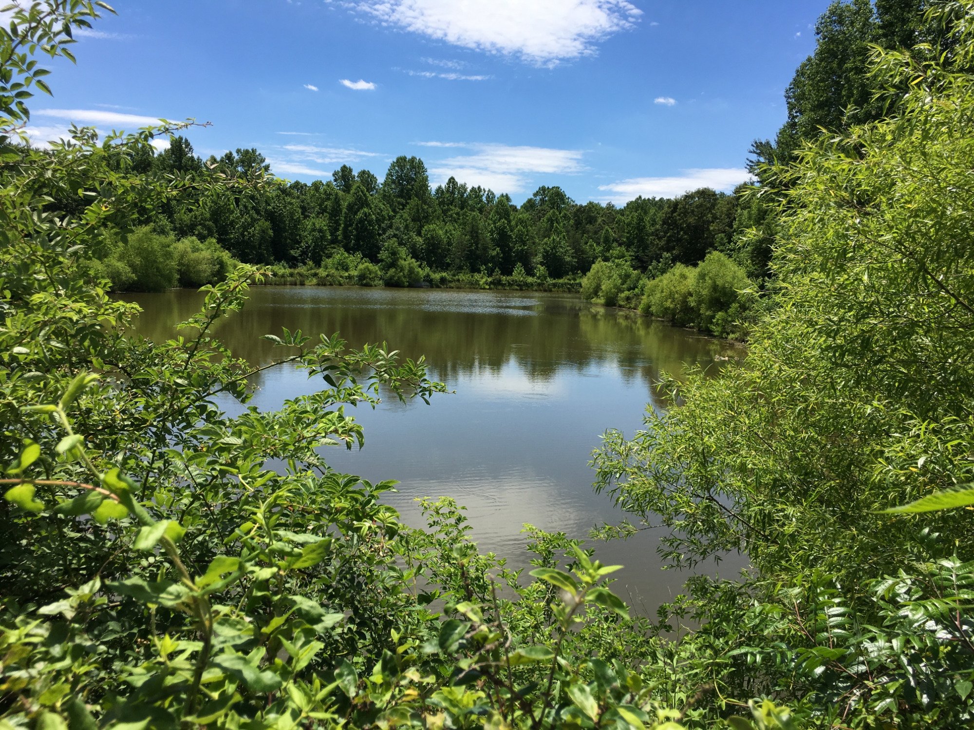 COURTHOUSE ROAD B & B - Reviews, Photos