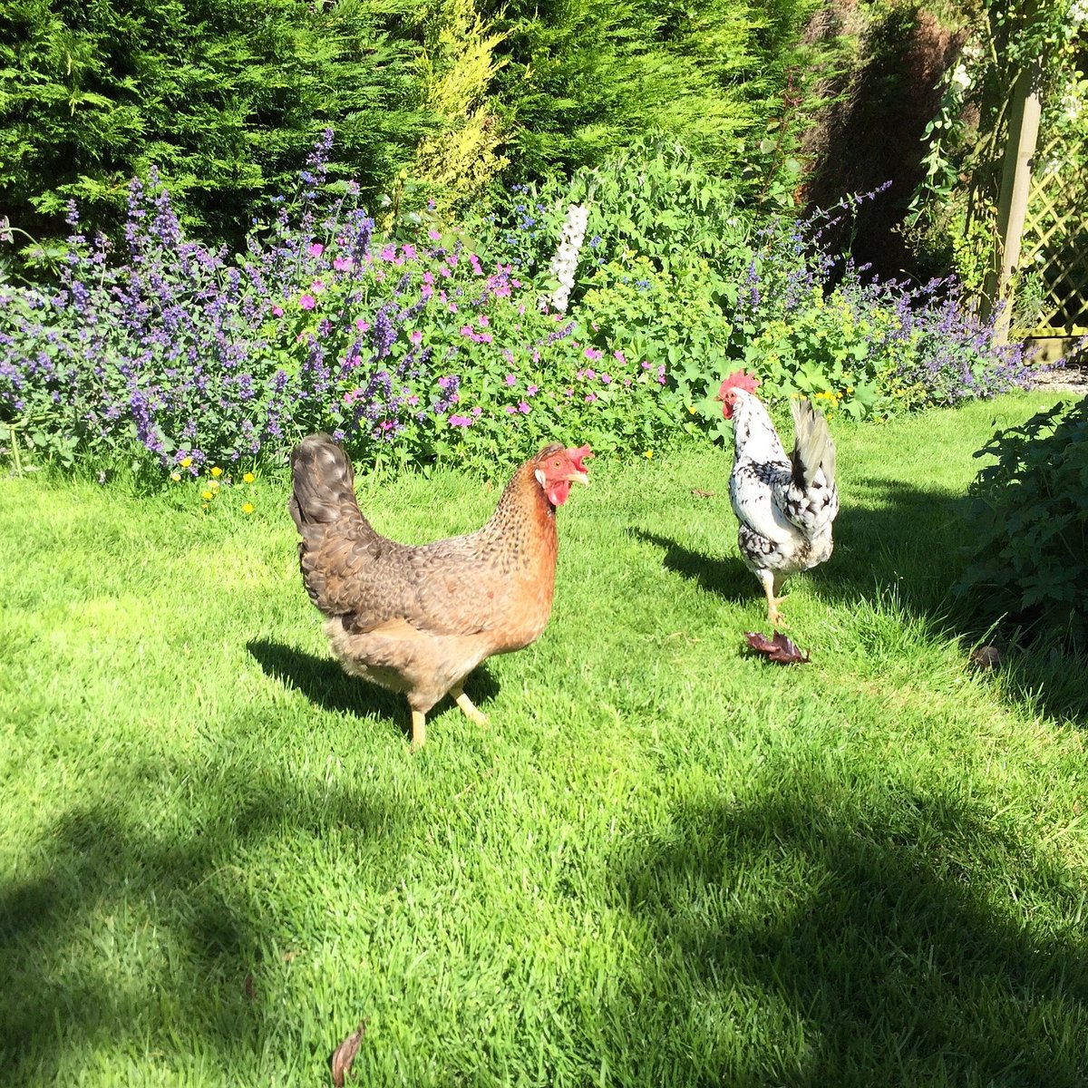 ALKHAM COURT FARMHOUSE B B Reviews (England) ALKHAM COURT FARMHOUSE B B Reviews (England)