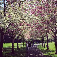 Pictures taken in spring..