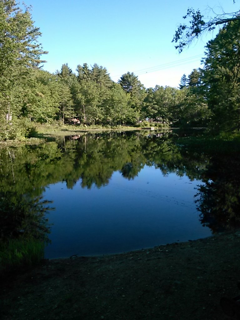 Maine Acres: Where Wildlife Roams Free and Memories Are Made