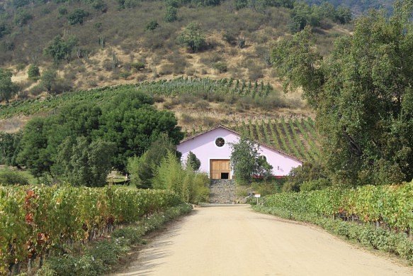 Hacienda Araucano image