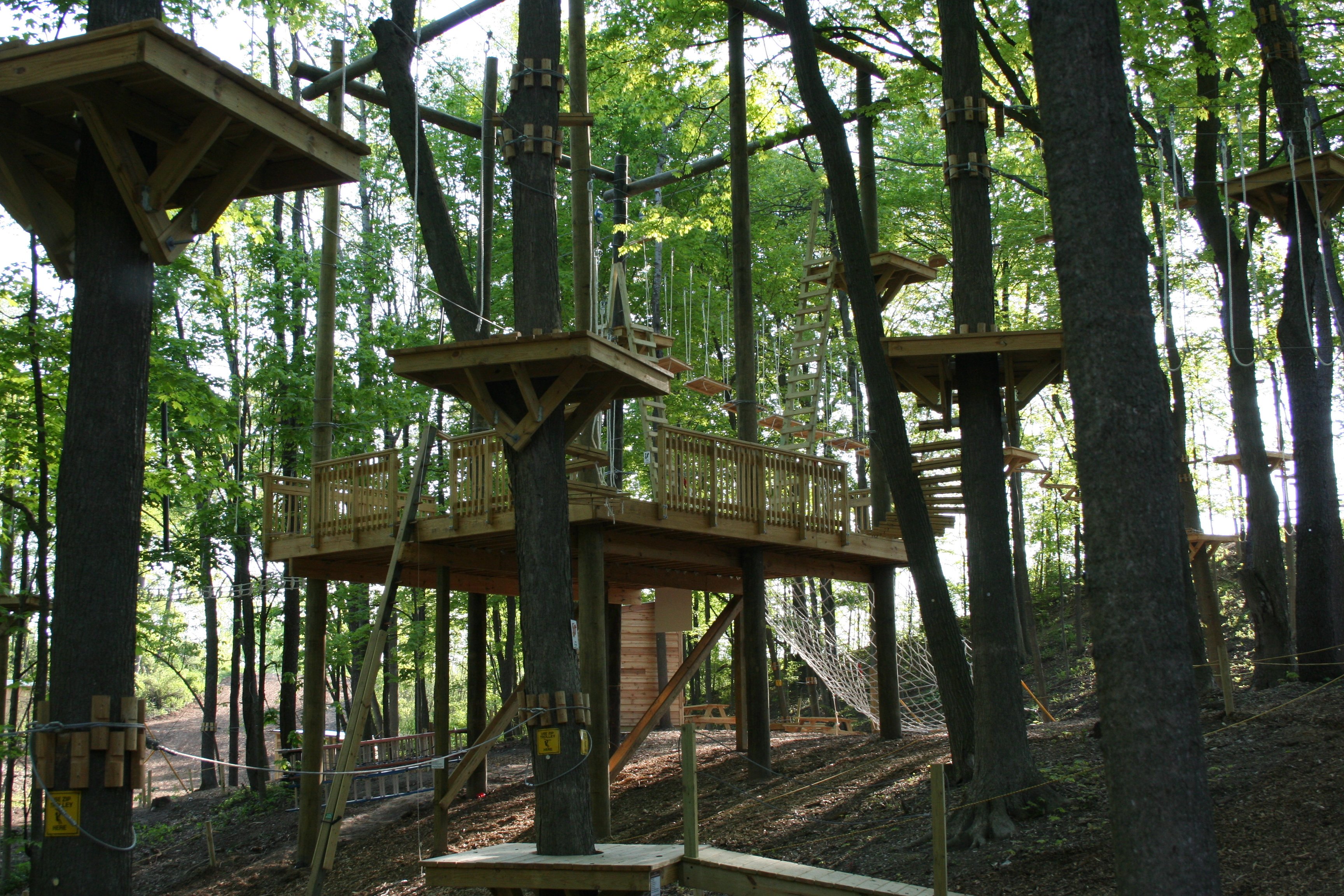 TreeRunner Grand Rapids Adventure Park - 2022 Alles Wat U Moet Weten ...